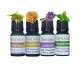 Children Set - Essential Oil